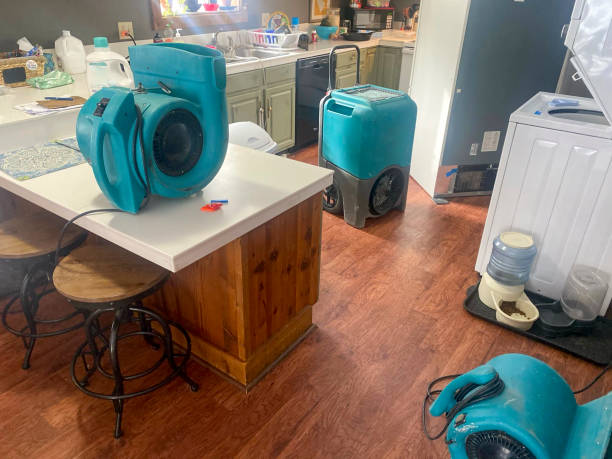 Best Basement water damage restoration  in South Vacherie, LA