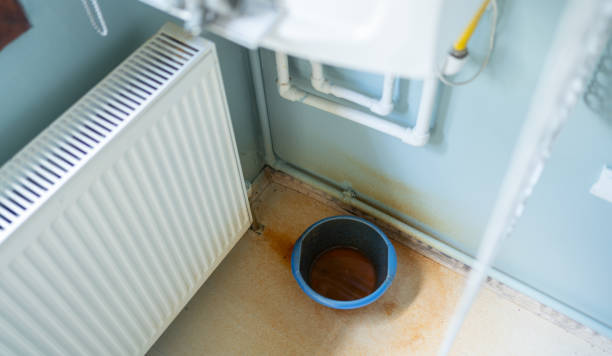  South Vacherie, LA Water damage restoration Pros