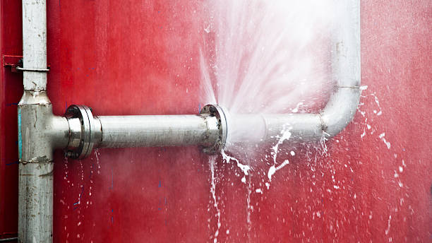 Best 24-hour water damage restoration  in South Vacherie, LA